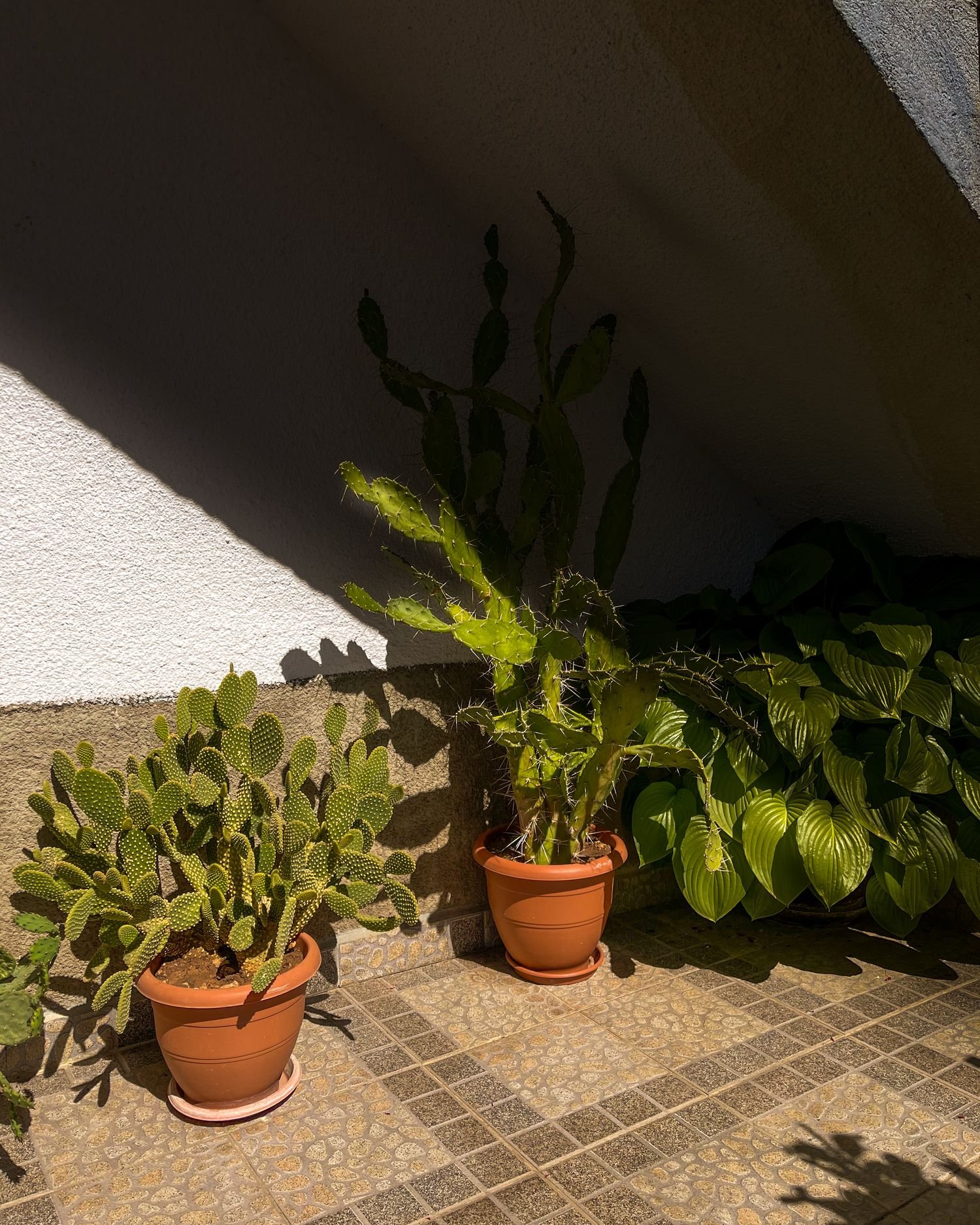 Designed around the setting. – tile surface styling inspiration